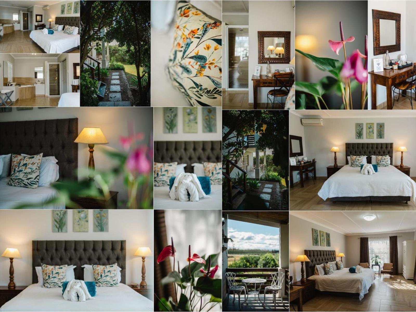 Hopefield Guesthouse-Addo Room photo
